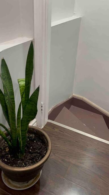 Bernie'S Basement Apartman Milton Kültér fotó