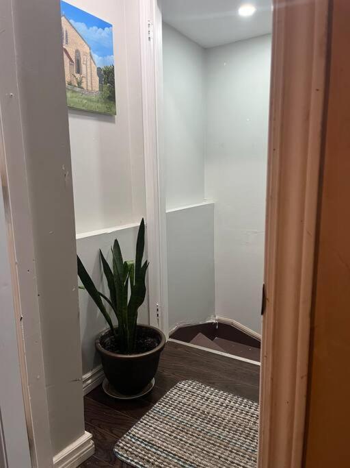 Bernie'S Basement Apartman Milton Kültér fotó